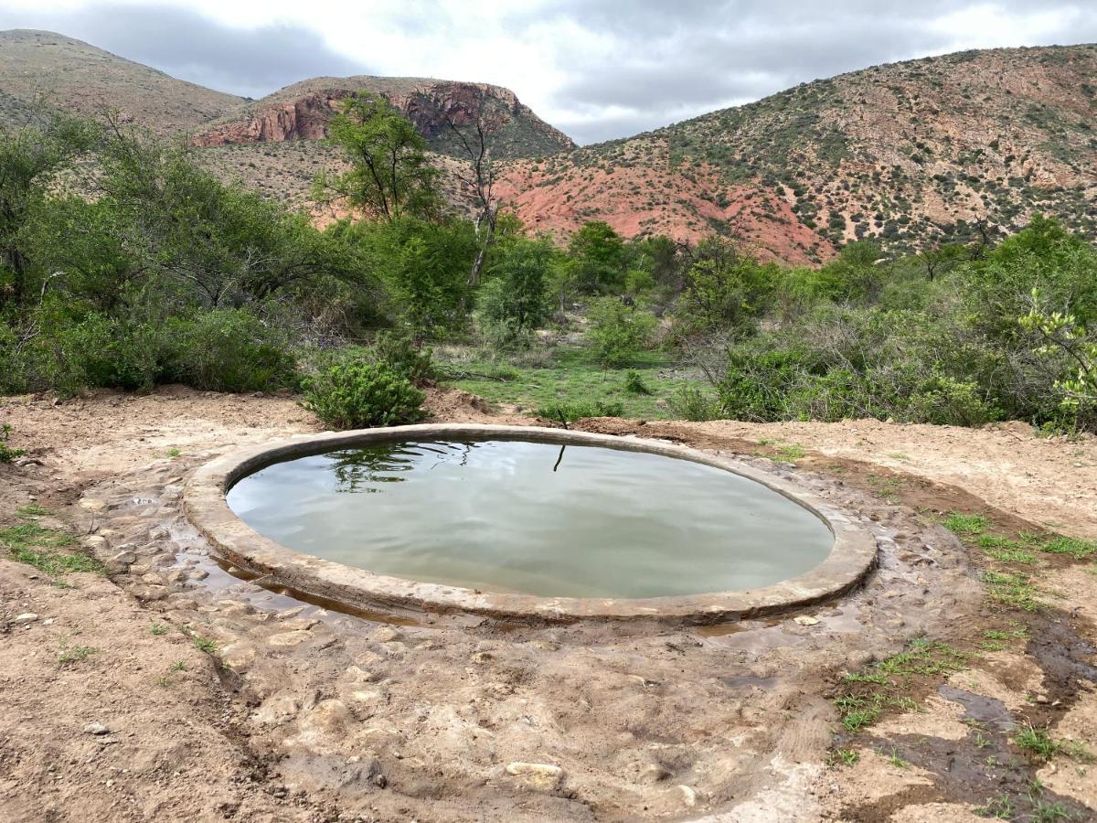Baviaanskloof Laaste Kamp - Wild Bush Camping Sandvlakte Eksteriør bilde