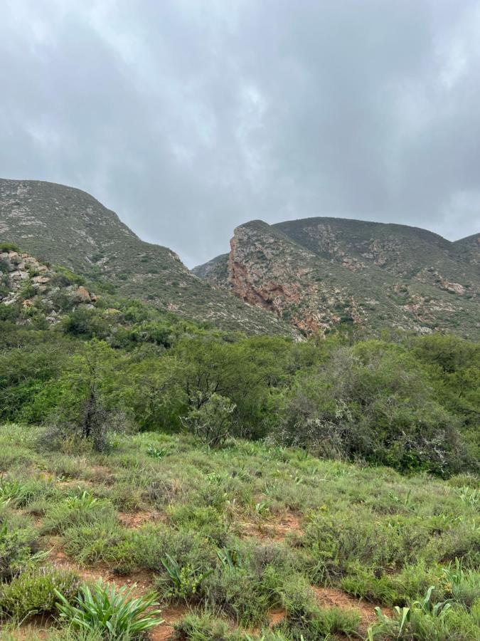 Baviaanskloof Laaste Kamp - Wild Bush Camping Sandvlakte Eksteriør bilde